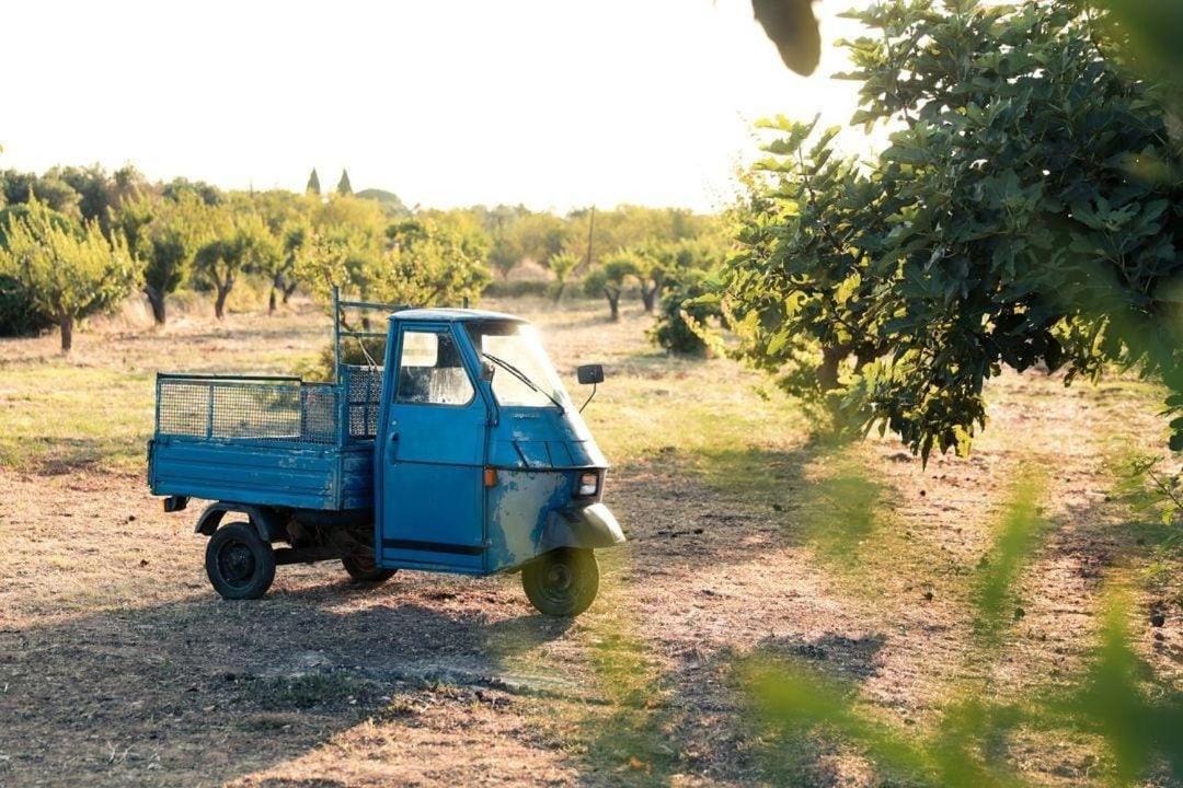 Casa In Campagna ⋅ Forimia Villa San Vito dei Normanni Luaran gambar